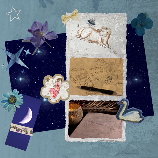 Birth Chart Reading