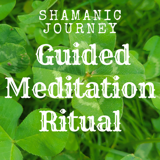 Shamanic Meditative Vision Journey - Live